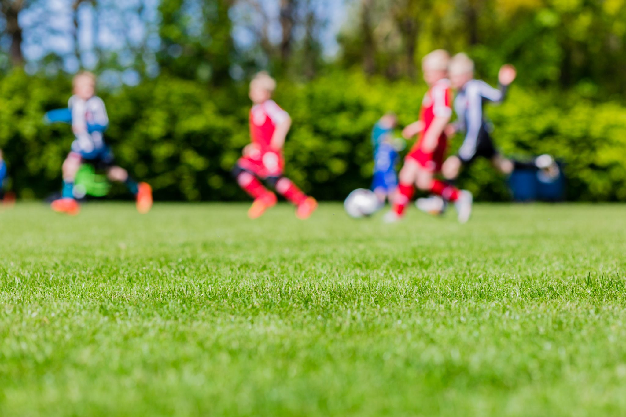 Athletic Field Sizes Rhino Seed & Landscape The Rhino Way