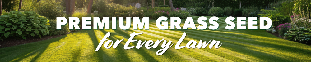 Premium Grass Seed for Every Lawn